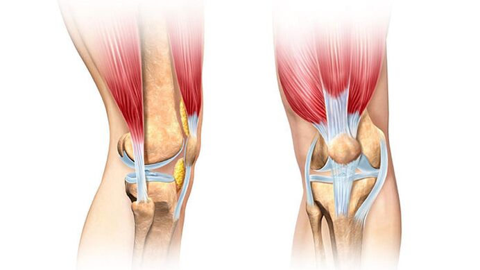 articulación de la rodilla y su tratamiento para el dolor