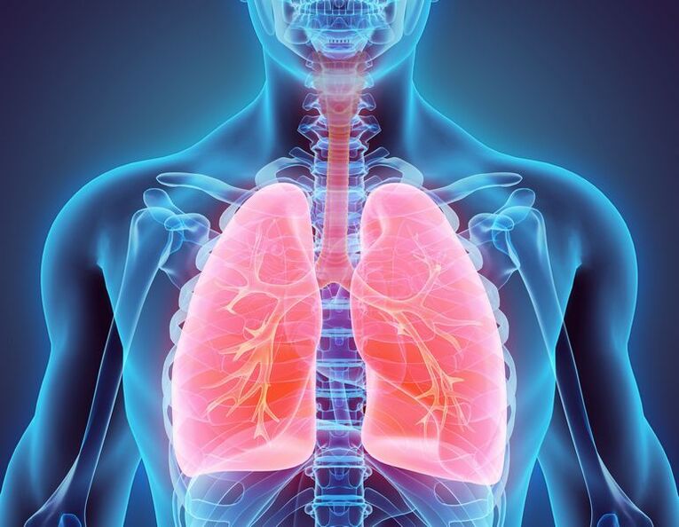 Bronquios y pulmones como causa del dolor.