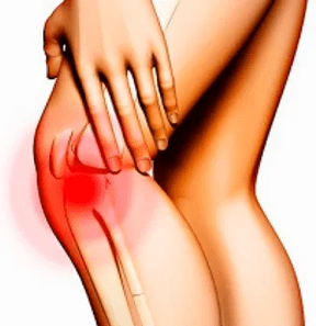 Estructura anatómica de la rodilla.